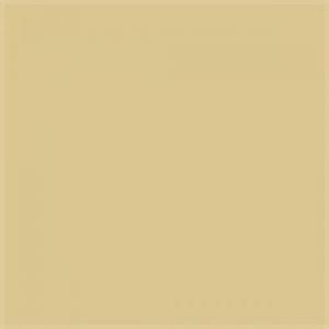 Paint and Paper Library Suede II Paint